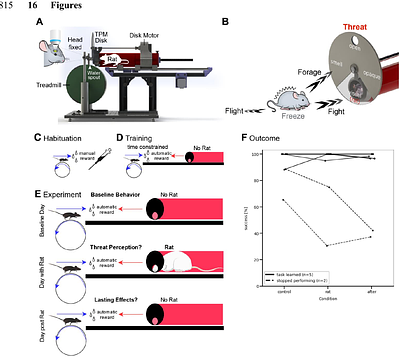 Contextual modulation and blunted defensive responses to predators in head-fixed and freely moving mice