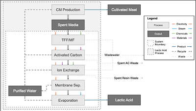 Analysis of the economic viability and environmental impacts of a conceptual process for the recovery of lactic acid from spent media in cultivated meat production