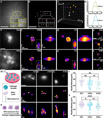 Volumetric Scattering Microscopy
