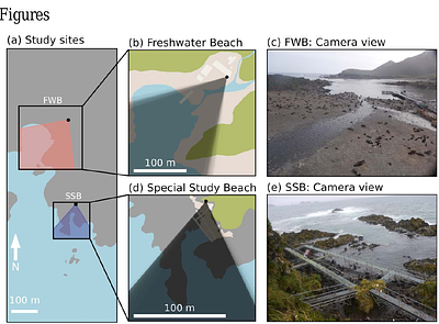 High population density limits predator access in Antarctic fur seal breeding colonies