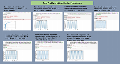Topological Environment in Genetic and Metabolic Networks