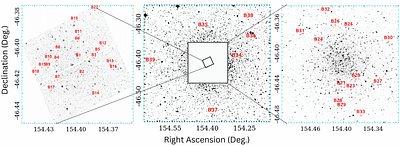 Spectroscopic Study of Blue Straggler Stars in the Globular Cluster NGC
  3201