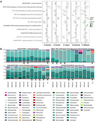 Host-mediated pH influences microbiome assembly and function on the phylloplane