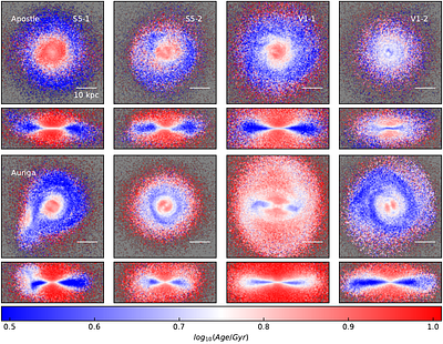 APOSTLE vs. AURIGA Simulations: How Subgrid Models Shape Milky Way Analogs