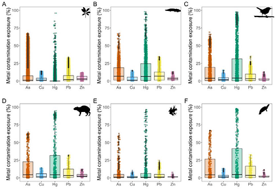 Amazon biodiversity is at risk from metal contamination due to mining activity