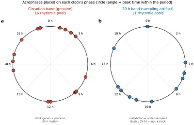 Learning the Cellular Dynamics as a Port-Hamiltonian System