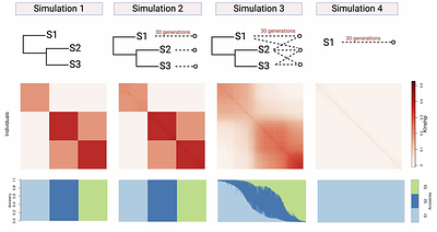 Genetic association meta-analysis is susceptible to confounding by between-study cryptic relatedness