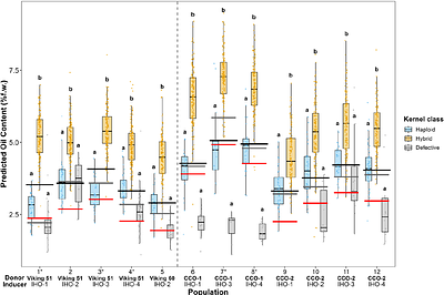 Single-kernel near-infrared spectroscopy enables haploid kernel sorting in field and sweet corn using high-oil haploid inducers across diverse donor-inducer combinations