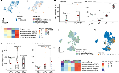 NFATC2 in pancreatic cancer-associated fibroblasts predicts treatment response and facilitates ERBB-targeted therapies