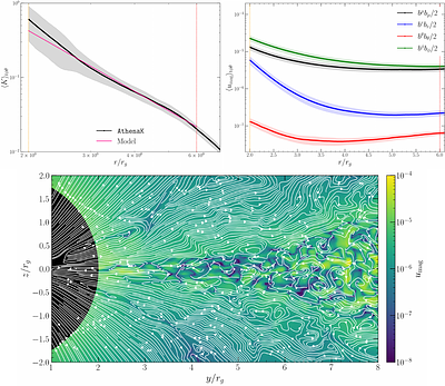 The plunging region of a thin accretion disc around a Schwarzschild
  black hole