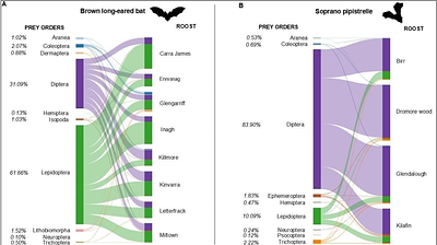 Metabarcoding reveals the effect of land cover and temporal variations on the diet of Brown long-eared and Soprano pipistrelle bats within a unique European habitat, the pasture dominated landscapes of Ireland.
