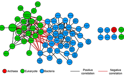 Identifying potential keystone microbes from co-occurrence networks in the Gulf of Alaska
