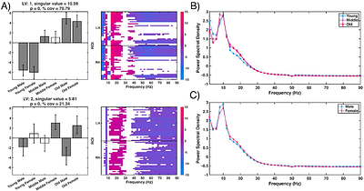 Interactions between age and sex in multiscale entropy and spectral power changes across the lifespan