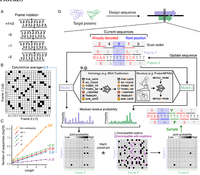 Design of overlapping genes using deep generative models of protein sequences