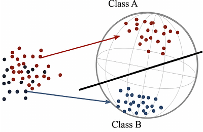 Efficient and Practical Black-Box Verification of Quantum Metric Learning Algorithms