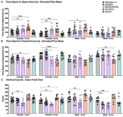 Pathogenic MAPK8IP3 variants drive distinct motor and behavioral phenotypes in humans and mice