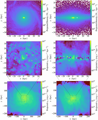 Probing the Hot Gaseous Halos of Milky Way-like Galaxies in the TNG50 simulation
