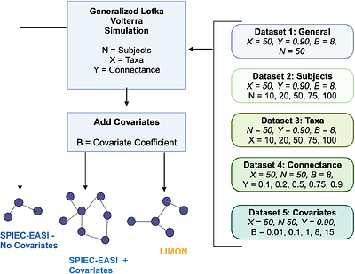 Creation and validation of LIMON - Longitudinal Individual Microbial Omics Networks