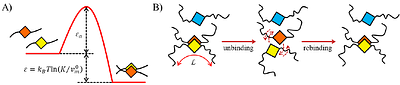 A Unifying Thermodynamic Model for Phase Separation and Aging of Biopolymers