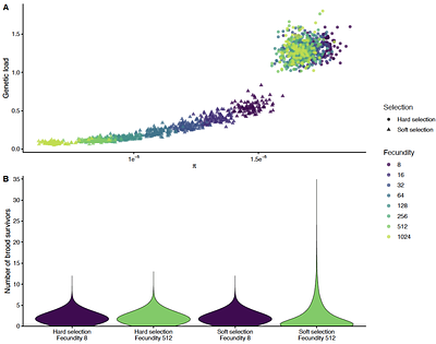 Selection mode governs the scaling of genetic load, diversity, and adaptation