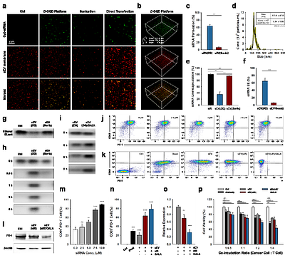 Dual-Engineered Dendritic Cell Derived Small Extracellular Vesicles Couple T Cell Priming with Checkpoint Reprogramming for Synergistic Immunotherapy