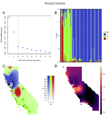 Landscape genomics and demography of California Azolla