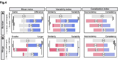 Increased variability and reduced phenotypic robustness in clonal Drosophila mercatorum