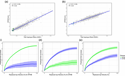 Haplotype-based insights into the genetic architecture of net blotch resistance in barley