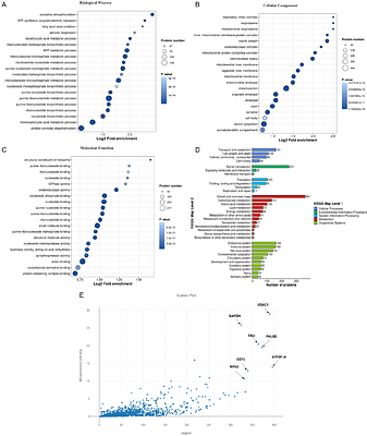Lactate metabolism antagonizes antiviral innate immunity bypromoting VDAC1-lactylation-mediated mtDNA release