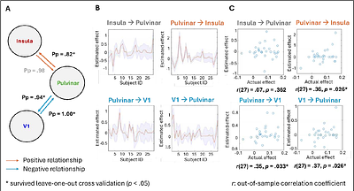 Effective connectivity reveals dual-route mechanism of visual prediction precision via insula and pulvinar