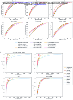 HLA alleles and haplotype distribution across Russian population groups