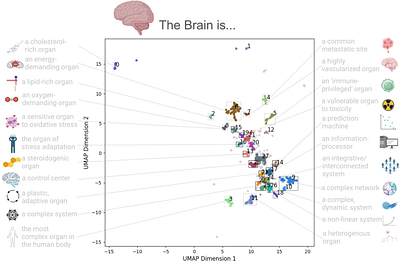 "The Brain is...": A Survey of The Brain's Many Definitions