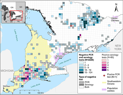 Testing for a wildlife reservoir of divergent SARS-CoV-2 in white-tailed deer