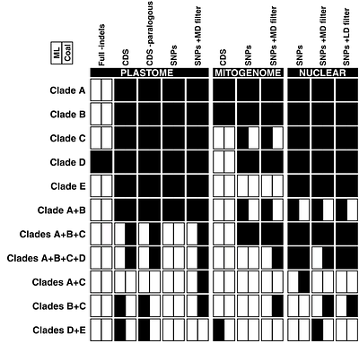 Making the most out of it: shallow genome-skimming possibilities for the systematics of prickly lineages of Solanum (Solanaceae)