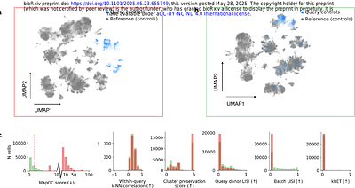 Automated evaluation of single-cell reference atlas mappings enables the identification of disease-associated cell states