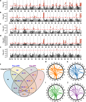 Powerful one-dimensional scan to detect heterotic QTL