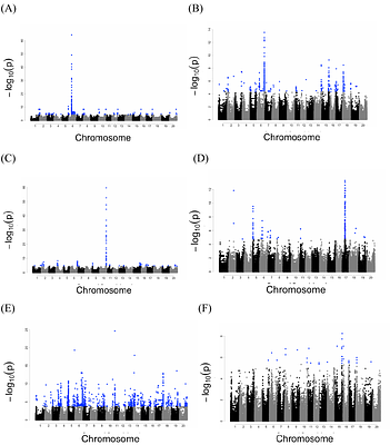 Metabolome genome-wide association study reveals hierarchical and epistatic genetic control of flavonoid metabolism in soybean