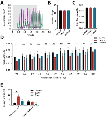 Transcutaneous auricular vagus nerve stimulation during movement modulates motor neural circuitry without widespread cortical or autonomic activation