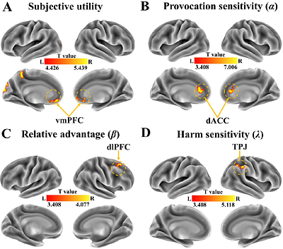 Neurocomputational Mechanisms Linking Future Interaction Prospects to Reactive and Proactive Costly Punishment