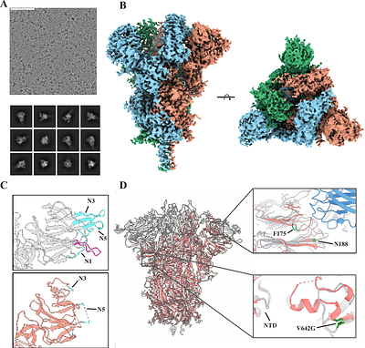 Antigenic landscape of a highly mutated SARS-CoV-2 Spike in ongoing viral evolution