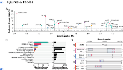 Gene conversion is a key driver of diversity hotspots in M. tuberculosis antigens and virulence-associated loci
