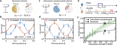 Multi-Qubit Stabilizer Readout on a Dual-Species Rydberg Array