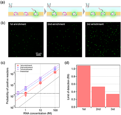 Open Digital Bioassays Enabled by Aqueous Two-Phase Microreactor Arrays