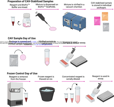 Development of Shelf-Stable Reagents and Assay Kits for Bioluminescence Applications using the Capillary-Assisted Vitrification Platform Stabilization Technology