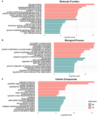 RNA-sequencing Strain-specific Genome Alignment Increases Differential Expression Findings in Comparison of C57BL/6J and DBA/2J Nucleus Accumbens