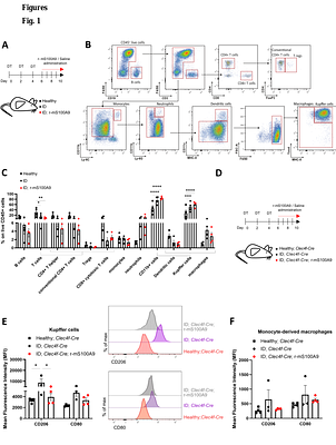 Harnessing distinct tissue-resident immune niches via S100A9/TLR4 improves ketone, lipid, and glucose metabolism