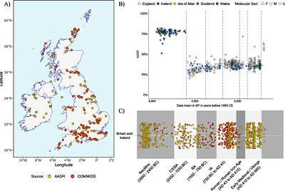 A curated dataset and web application for Integrative Analysis of Ancient DNA from Britain and Ireland