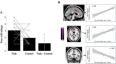 Neural correlates of the subjective experience of free-will during value-based risky decisions: a pilot study
