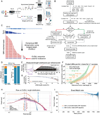 Scalable single-cell isoform profiling with sequencing-by-expansion