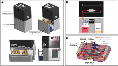 Tissue Engineering Applications for Novel Integrated and Mobile Perfusion System